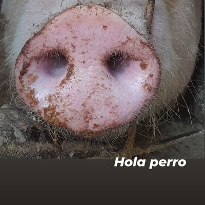 De vez en cuando me reinicio