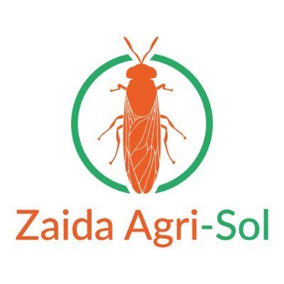 zaidagrisol's profile picture.