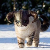 Tracy LaMiere (@lamieret) 's Twitter Profile Photo