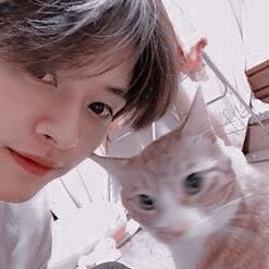 jkwpvw Profile Picture