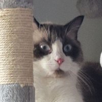 GoCrypto (@gocrypto3) 's Twitter Profile