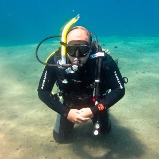 dondonsch's profile picture. I am what i am..