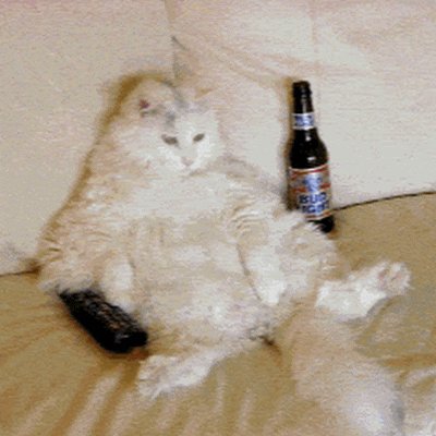 Couch potato cat drinking beer from a beanbag chair. My pronouns are Told/You/So