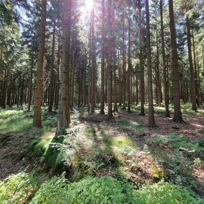 Ich bin 300m von der Uranerzwäsche in Aue entfernt geboren, also: Was erwartet Ihr? Im Erzgebirge aufgewachsen, jetzt in der brandenburgischen Provinz.