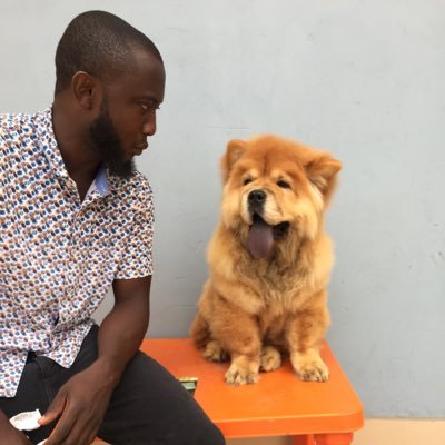 DBS-pet4U deals with all breeds of dogs both pet & guard dogs, birds, cats, pet consultation, feed supplies, importation & exportation etc. Cal/WSap 08189622084