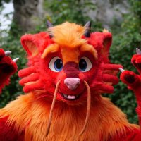 Hiryū(@HiryuTheDragon) 's Twitter Profile Photo