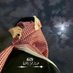 ﮼عبدالرحمن،المطيري (@agi29r) Twitter profile photo ﮼عبدالرحمن،المطيري (@agi29r) Twitter profile photo