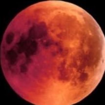 cuntholdusdown's profile picture. 