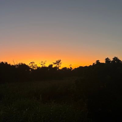 BoodramAntonio's profile picture. 