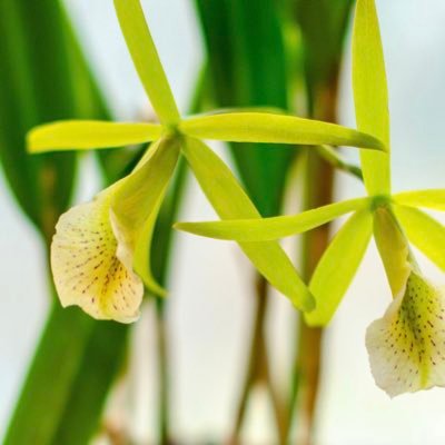 Mike638725581's profile picture. Hi!