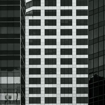 polyvagaltheori's profile picture. 