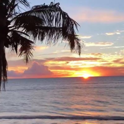 mikeIva31's profile picture. 