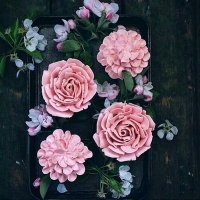المتفائله 🌸💮🌼 (@almutafaela11) 's Twitter Profile Photo المتفائله 🌸💮🌼 (@almutafaela11) 's Twitter Profile Photo