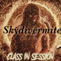 IzanamiSkydivermite (@skydivermite) 's Twitter Profile