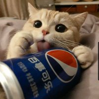 Mango (@mxngoo__) 's Twitter Profile Photo
