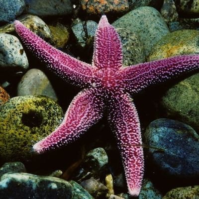 bharatiysher4's profile picture. dr. 
#96 k maratha
doctor by profession
nationalist by passion.