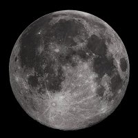 Apollo11 | Allora.network(@Apollo11_Allora) 's Twitter Profile Photo