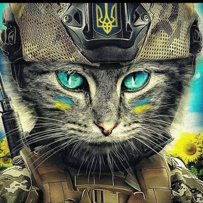 Proud Democrat, avid reader. Single, childless cat lady. #StandWithUkraine
she/her