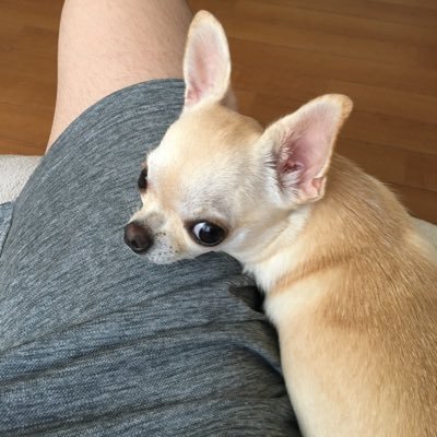 RyXzcmAEoN0oLXf's profile picture. 