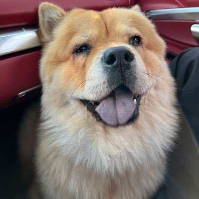 SammSsept's profile picture. 