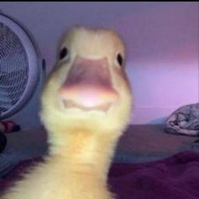 JOAQUIN47579033's profile picture.
