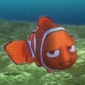 betsy_burnette4's profile picture. There was a mollusk and a sea cucumber. The sea cucumber walks over to the mollusk and says: "With fronds like these, who needs anemones?”