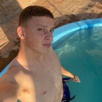 Brian (@borkbrian1) 's Twitter Profile