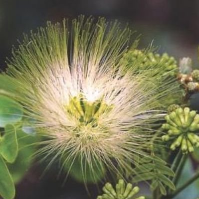 0ldWin3's profile picture. Just having fun 😀