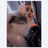 Sinem TUNÇ (@mialisuuu) Twitter profile photo