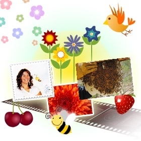 apifrans's profile picture. Apicultora y Apiterapeuta. Productora de Contenidos Edición Web Abejas y Miel