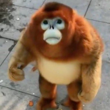 jackpaterson24's profile picture. 