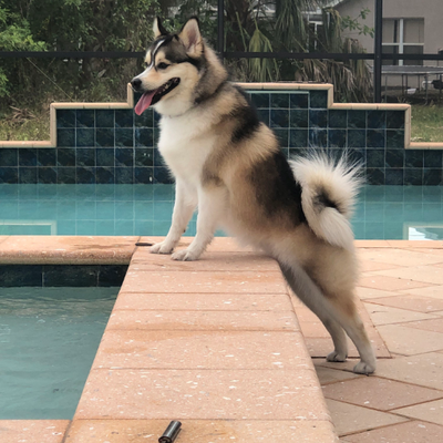 jiji94206025's profile picture. Bal 🧡