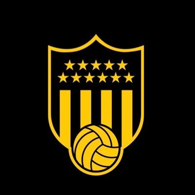 Twitter oficial del voleibol del Club Atlético Peñarol
