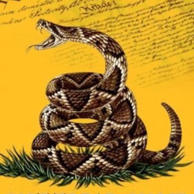 FightLikeTiger's profile picture. Positivity, self-belief, mental strength & hard work are essential qualities to conquer the world!

#Aspire
#Inspire
#Fight
#MindOverMatter.

Parody || Comedy