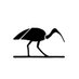 Ibis Reproductive Health Profile picture