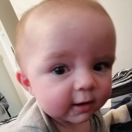 archie84454875's profile picture. 