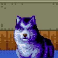 ๐ซฑ๐ปโ๐ซฒ๐ฟ the sega cd nigga ๐ซฑ๐ฟโ๐ซฒ๐ป (@sega_cd) 's Twitter Profile