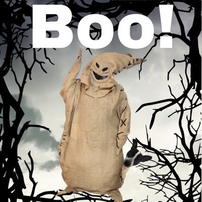 abepupperdad's profile picture. 