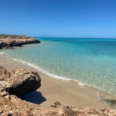 brettwhyby's profile picture. Performance Medicine Manager at Cirque du Soleil // Physio // Sports lover and terrible golfer