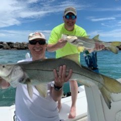 Polz34010524's profile picture. Born a YANKEES FAN and will go to my grave being a YANKEES FAN #RepBx 
BEARS 🐻 ⬇️,
AND HARLEY DAVIDSON #doglife