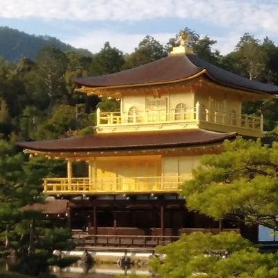 投資家 JEPI/VYM/JEPQ/DGRW/QYLD/三菱hcc/三井住友/三菱商/稲畑/楽天SCHD/1489大好き。遊びでCEPI&ゴルナス購入😁/ラグビー🏉見るのもプレーするのも大好き/麻雀🀄Mリーグ最高/子供3人/40代酒好きおじ