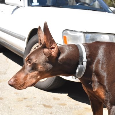 aj_salaris's profile picture. 