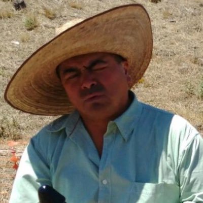 XRP_DNA's profile picture. We are all equally worthless.