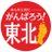 gme293's profile image