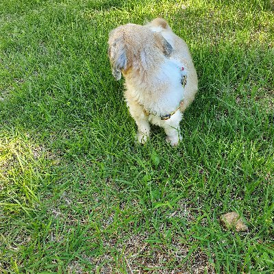 feelme44746141's profile picture. feelme