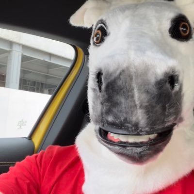 人知れず草原を静かに駆け回ってる平凡な🐎です /ストレスフリー人生 🚗あまり車は買わなくなりましたがチリンドリとローマスパイダーとGクラスは納車待ち🦉🐍