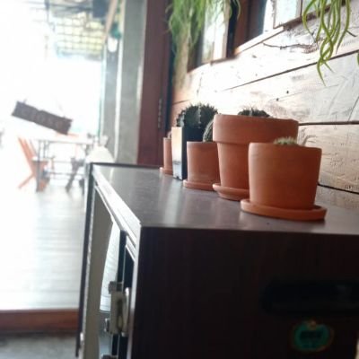 nok_oph's profile picture. ชอบอ่านไปเรื่อยแหละ
