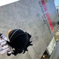 ぽむ (@pom_trh) 's Twitter Profile