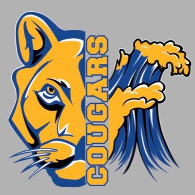 NPSwimmerPrblmz's profile picture. 