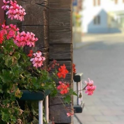 لا تنتظر شيئا من احد فالاشياء الجميلة تأتي من الله 🌿